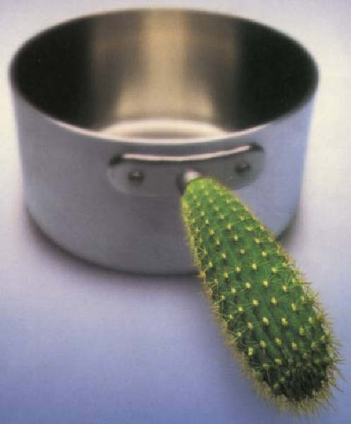 c-seul mexique-humourenvrac